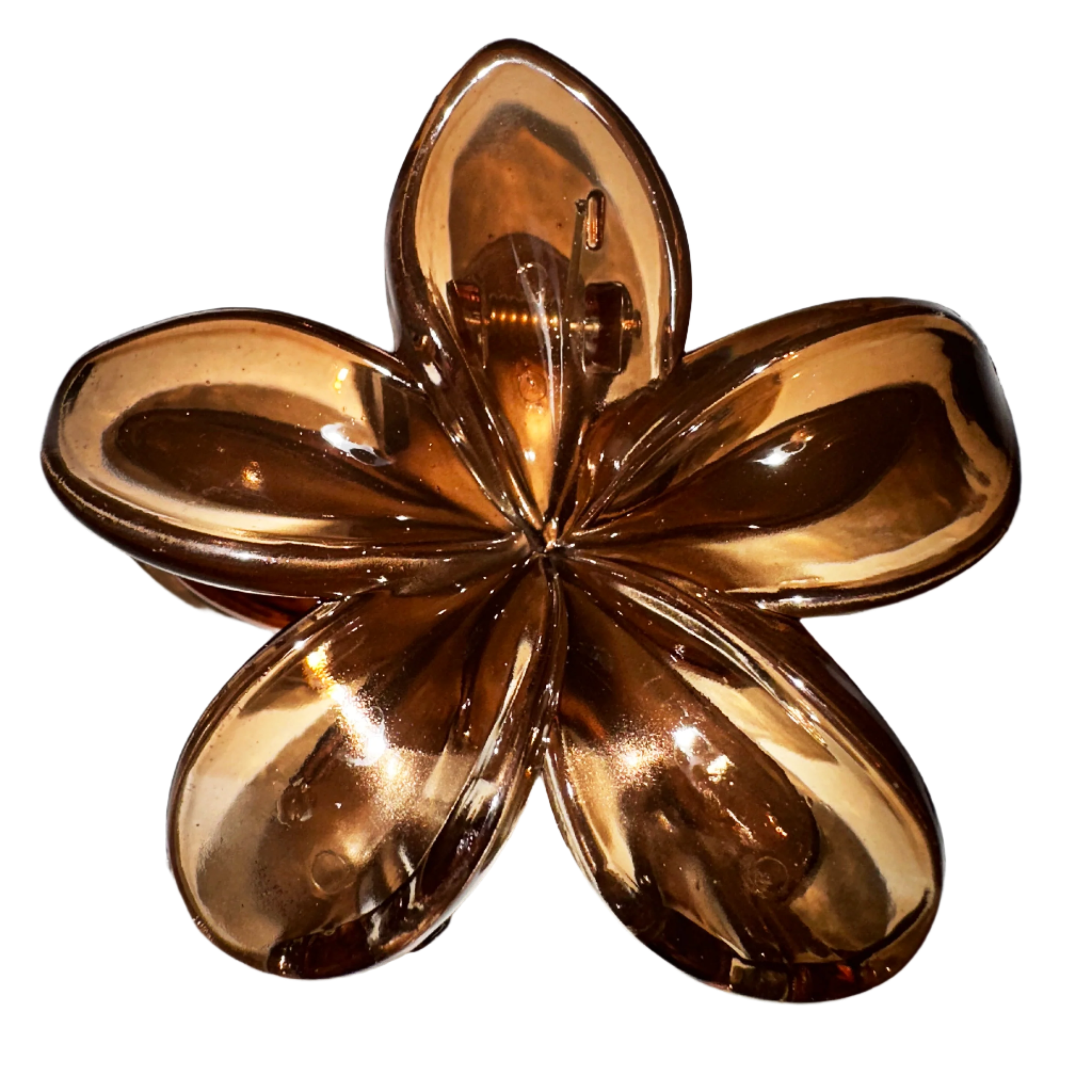 CLEAR BROWN LILY HAIR CLAW CLIP